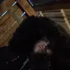 James Brazil - @jamesbrazil22 - TikTok