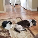 J Paul Breazeale - @jamespbreazeale - Instagram
