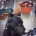 James Breitenbach - Facebook