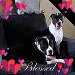 James Breitenbach Jr. - @breitenbachjr.james - Instagram