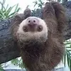 James Bridgewater - @jamesbridgewater2 - TikTok