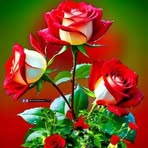Brian James - Facebook