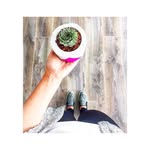 James Brigman - @evakimmzt - Instagram