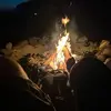 jamesbriscoe5 - @james.briscoe7 - TikTok