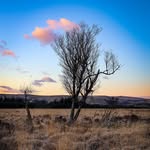 James Britton - @jbritton_photography - Instagram