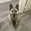 James - @jamesbrook56 - TikTok