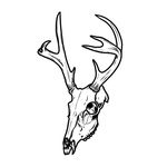 James Brooker - @wildrose_illustration - Instagram