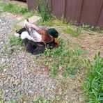 James Browder - Facebook