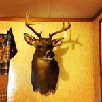 James Browder - @robert_jamesbrowder - Instagram