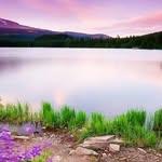 James Bruni - @jpfbruni - Instagram