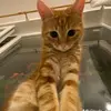 James Baublitz - @james.baublitz7 - TikTok