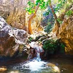 James Bucci - @bucci4316 - Instagram