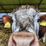 James Buckmaster - @jbuckmaster04 - Instagram