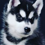 @james_buckner_ - Instagram