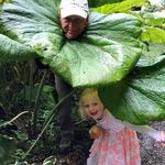 James J. Buehner - @jimbuehner - Instagram