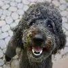 jamesbullis721 - @jamesbullis721 - TikTok