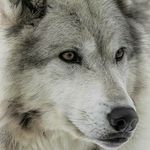 James Bumgardner - @bumgardner1426 - Instagram