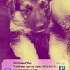James Bumgardner - @james.bumgardner5 - TikTok