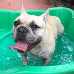 Jamesbunker - @james.bunker.378 - Instagram