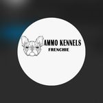 James Burd - @lovely_frenchies_bulldog18 - Instagram
