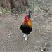 James Burd - Facebook