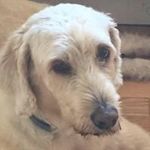 James Burling - @jburling570 - Instagram