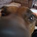 James Burling - Facebook