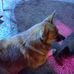 James Burnworth - Facebook