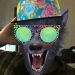 James Burrell - @jamesburrell80 - Instagram