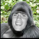 James - @james.burwell - Instagram