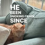 james bushnell - @kushnell_ - Instagram