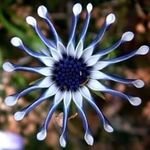 James Butchart - @jamesbutchart54 - Instagram