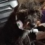 James Button - @xjamesxbuttonx - Instagram