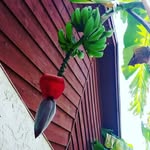 James Byrd - @hacked420420 - Instagram