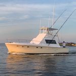 James Byrd - @hitmansportfishing - Instagram