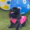 James Byrd - @james.byrd74 - TikTok