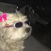 James Cabotaje - @james.cabotaje1 - TikTok