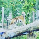 James - @james_cabot2005 - Instagram