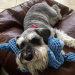 James Caldwell - @jamescaldwell100 - Instagram