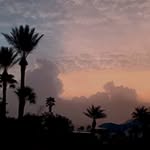 James Campanelli - @jamescampanelli - Instagram