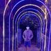 James Cane - Facebook