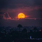 James Canon - @jamescanon7kg - Instagram