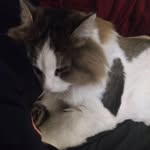 James Carder - @goku3652000 - Instagram