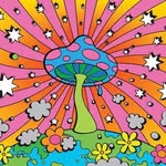 james carder - @james_c4200 - Instagram