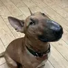 james_carnes - @james_carnes - TikTok
