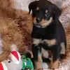 jamescarson8260 - @jamescarson8260 - TikTok