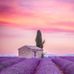 James Casanova - Facebook
