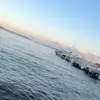 James_Casaccio34 - @james_casaccio34 - TikTok