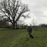 James Casey - @james._casey - Instagram