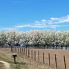 James Casler - @james.casler8 - TikTok